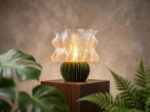 NOVA Bloom - Image 2
